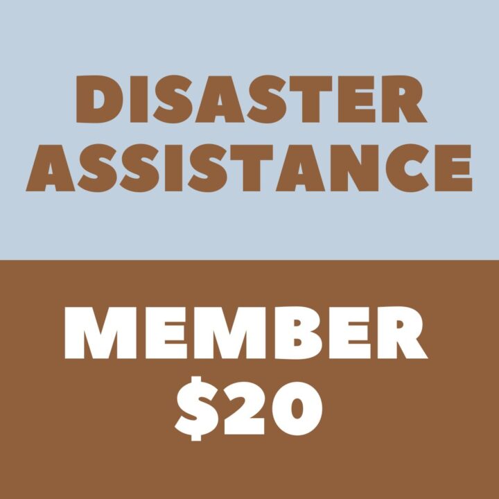 Disaster Assistance Member